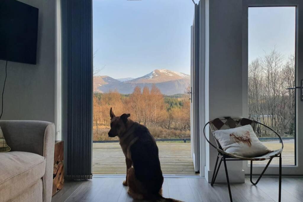 Ben Nevis Scotland Highlands, Camden House Luxury Home Fort William Exterior photo